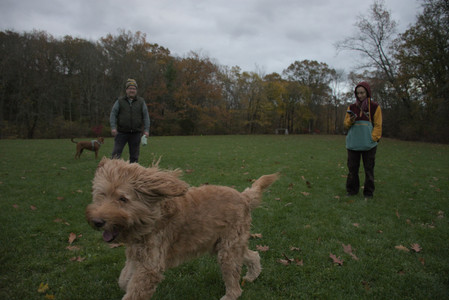 20251031_Cats and then dog park__DSC0294_.jpg