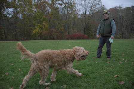 20251031_Cats and then dog park__DSC0301_.jpg
