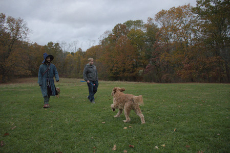 20251031_Cats and then dog park__DSC0302_.jpg