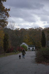 20251031_Cats and then dog park__DSC0326_.jpg