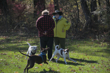 20251101_Dog park and milkweed__DSC0027_.jpg