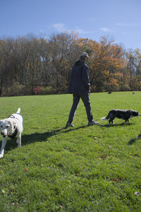 20251101_Dog park and milkweed__DSC0035_.jpg