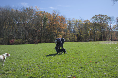 20251101_Dog park and milkweed__DSC0041_.jpg