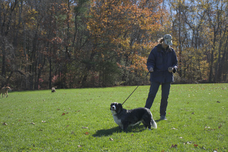 20251101_Dog park and milkweed__DSC0044_.jpg