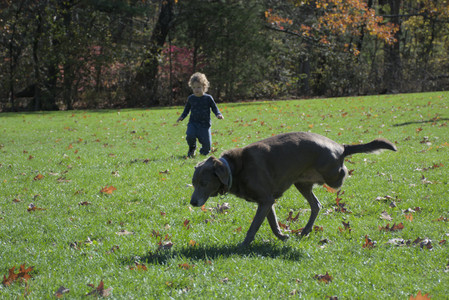 20251101_Dog park and milkweed__DSC0051_.jpg