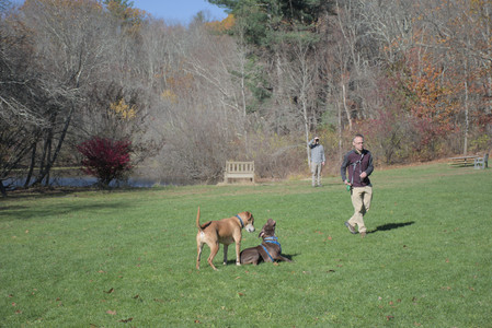 20251101_Dog park and milkweed__DSC0074_.jpg