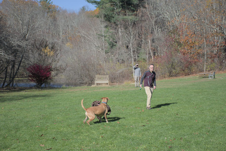 20251101_Dog park and milkweed__DSC0076_.jpg