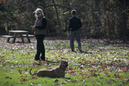 20251101_Dog park and milkweed__DSC0086_.jpg