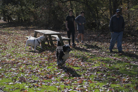 20251101_Dog park and milkweed__DSC0096_.jpg