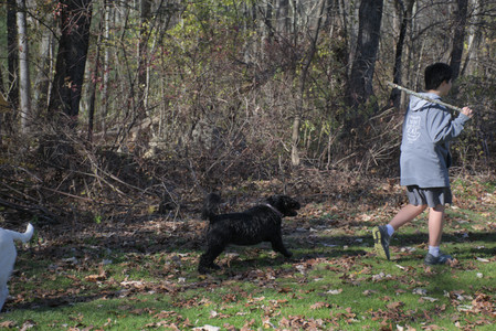 20251101_Dog park and milkweed__DSC0098_.jpg