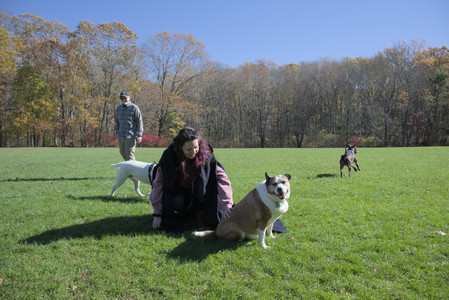 20251101_Dog park and milkweed__DSC0109_.jpg