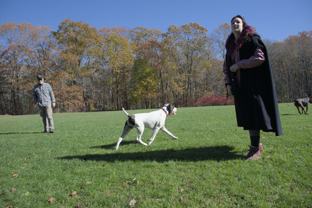 20251101_Dog park and milkweed__DSC0113_.jpg