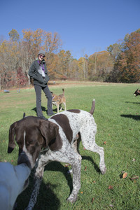 20251101_Dog park and milkweed__DSC0114_.jpg