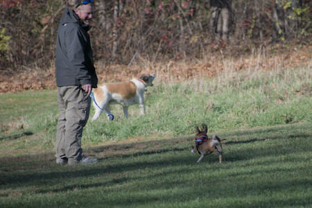 20251102_Dog Park__DSC0045_.jpg