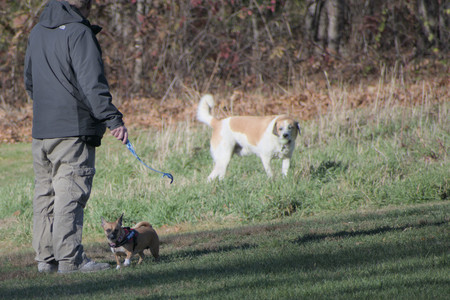 20251102_Dog Park__DSC0047_.jpg