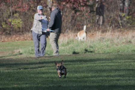 20251102_Dog Park__DSC0052_.jpg