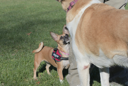 20251102_Dog Park__DSC0073_.jpg