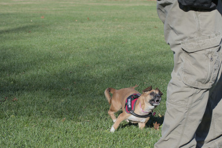 20251102_Dog Park__DSC0085_.jpg
