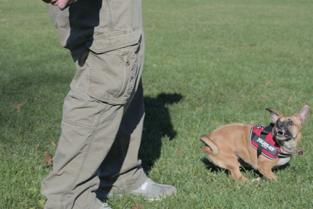 20251102_Dog Park__DSC0086_.jpg