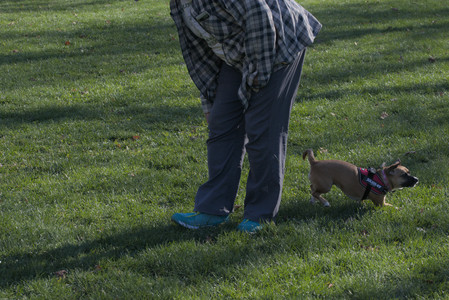 20251102_Dog Park__DSC0135_.jpg