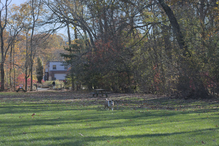 20251102_Dog Park__DSC0140_.jpg