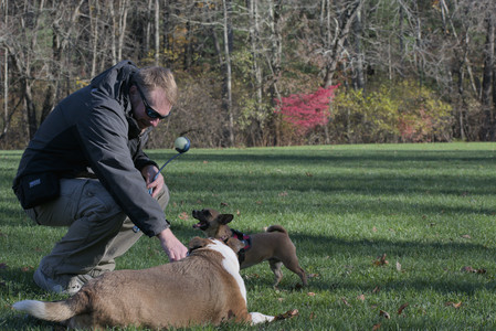 20251102_Dog Park__DSC0175_.jpg