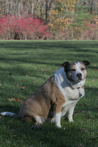 20251102_Dog Park__DSC0211_.jpg