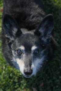 20251102_Dog Park__DSC0284_.jpg