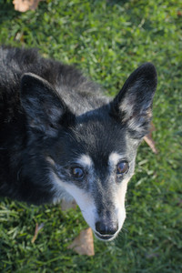 20251102_Dog Park__DSC0289_.jpg