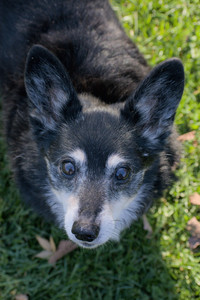 20251102_Dog Park__DSC0293_.jpg