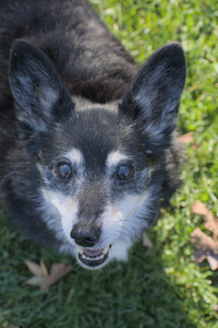 20251102_Dog Park__DSC0295_.jpg