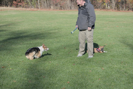 20251102_Dog Park__DSC0297_.jpg