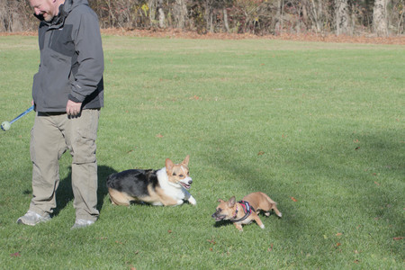 20251102_Dog Park__DSC0298_.jpg