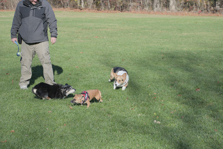 20251102_Dog Park__DSC0299_.jpg