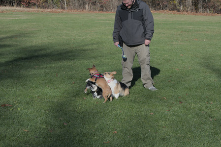 20251102_Dog Park__DSC0302_.jpg