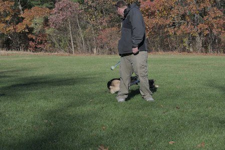 20251102_Dog Park__DSC0306_.jpg