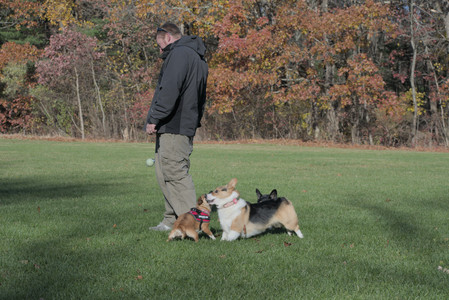 20251102_Dog Park__DSC0307_.jpg
