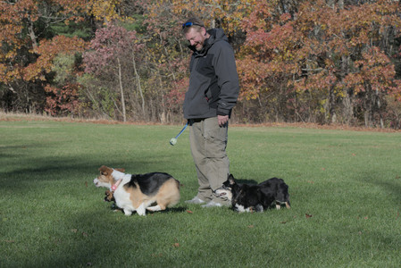 20251102_Dog Park__DSC0308_.jpg