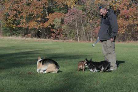 20251102_Dog Park__DSC0309_.jpg