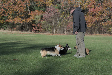 20251102_Dog Park__DSC0310_.jpg