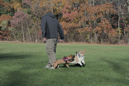 20251102_Dog Park__DSC0312_.jpg