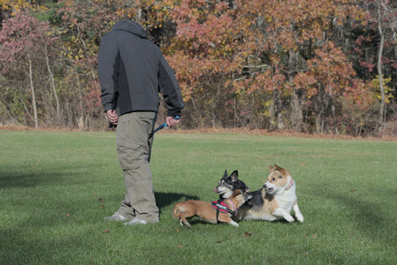 20251102_Dog Park__DSC0313_.jpg