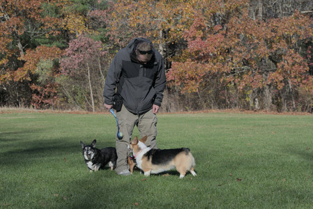 20251102_Dog Park__DSC0320_.jpg