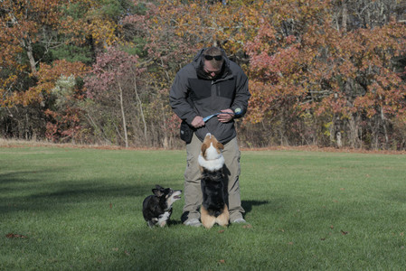 20251102_Dog Park__DSC0326_.jpg