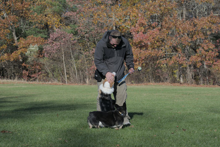 20251102_Dog Park__DSC0327_.jpg