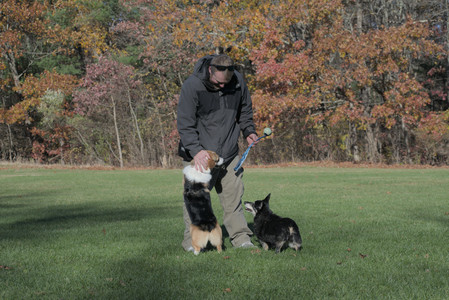 20251102_Dog Park__DSC0329_.jpg