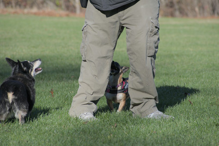 20251102_Dog Park__DSC0340_.jpg