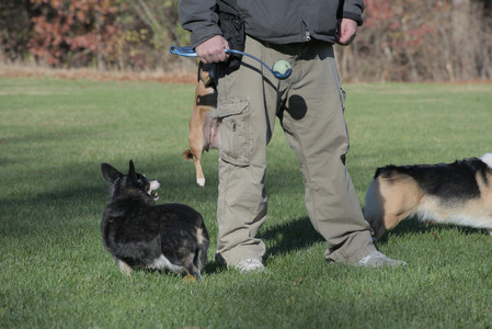 20251102_Dog Park__DSC0343_.jpg