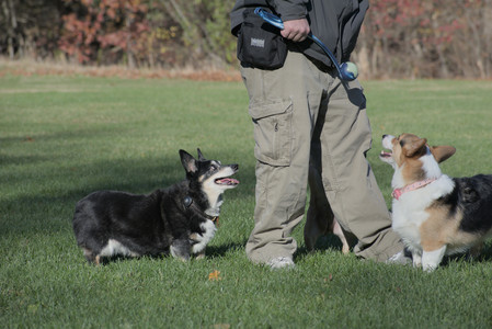 20251102_Dog Park__DSC0344_.jpg