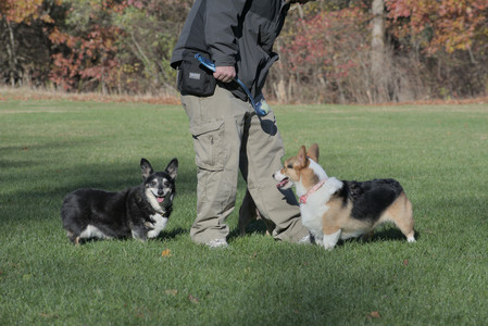 20251102_Dog Park__DSC0345_.jpg